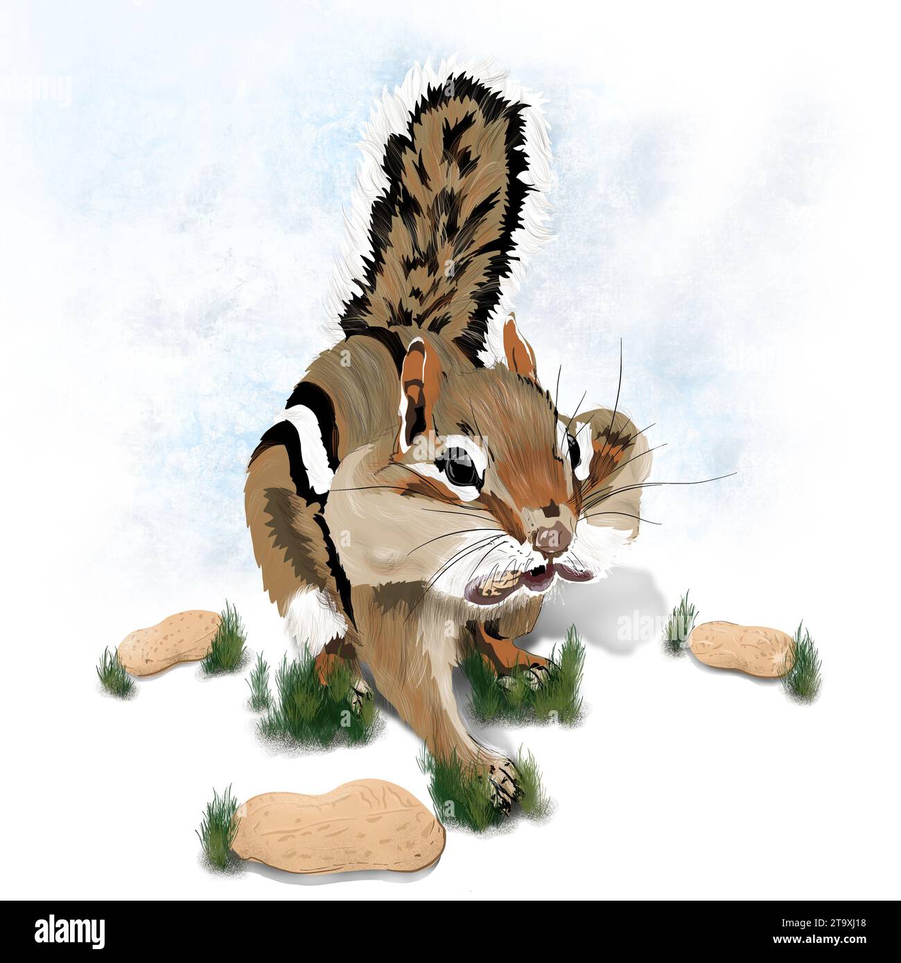 Niedliches, kleines Streifenhörnchen mit einer Illustration aus gefülltem Mund Stockfoto