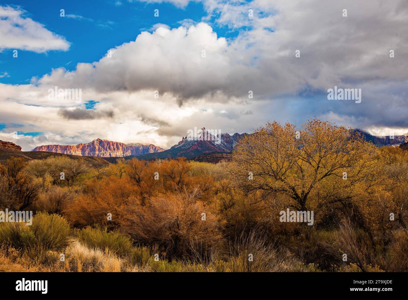 Fernsicht auf den Zions-Nationalpark vom Highway 9 in der Nähe von Springdale, UT. USA Stockfoto