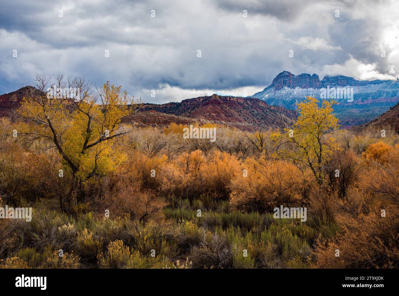 Fernsicht auf den Zions-Nationalpark vom Highway 9 in der Nähe von Springdale, UT. USA Stockfoto