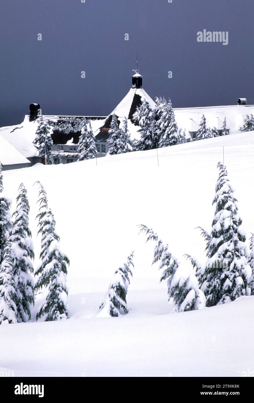 Timberline Lodge, Mt Hood National Forest, Oregon Stockfoto