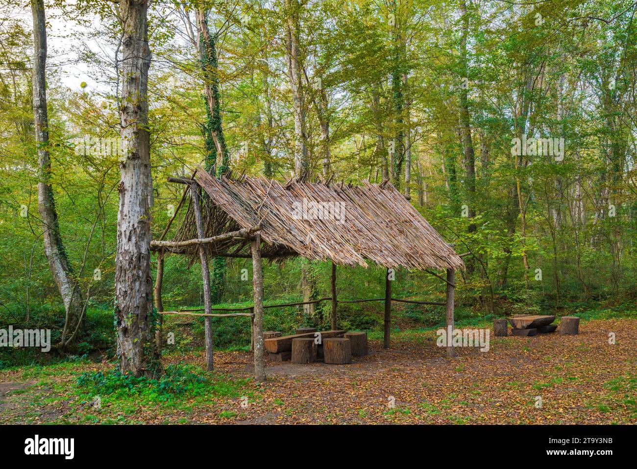 Rast- und Campingplatz im Wald Stockfoto