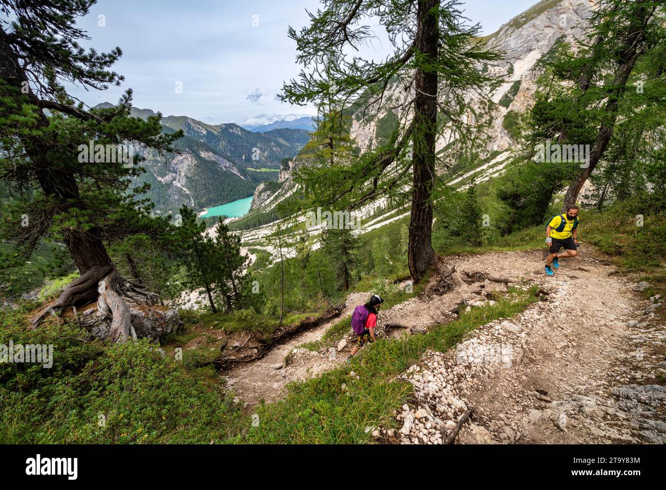 Auf Alta Via 1 Wanderweg über dem Pragser See, Italien Stockfoto