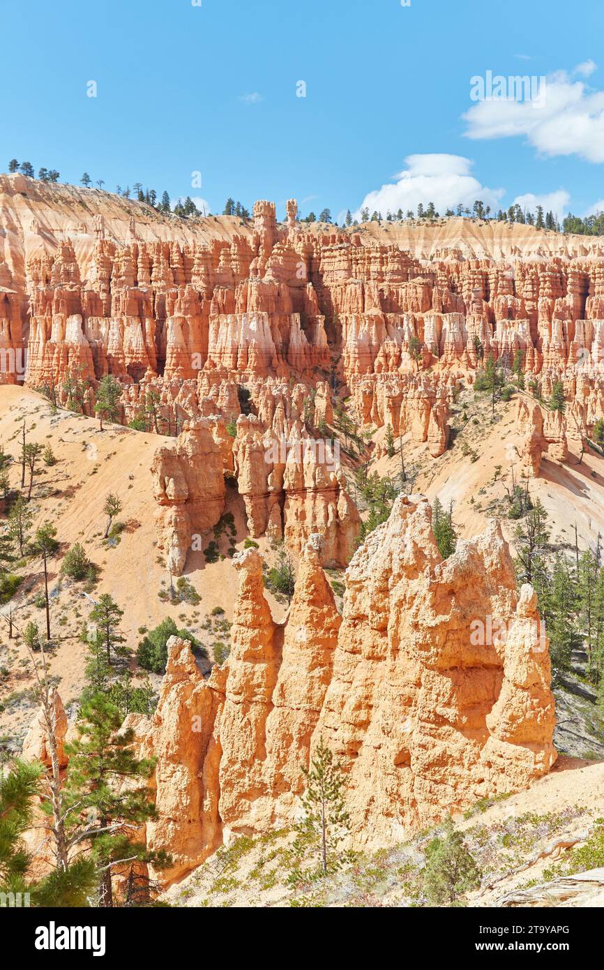 Wandern Sie auf dem Peekaboo Loop Trail im Bryce Canyon National Park Stockfoto