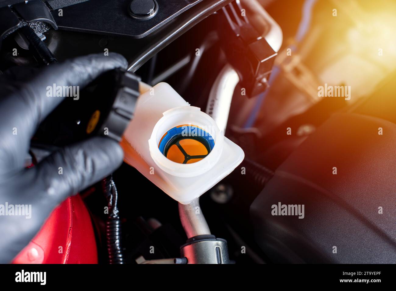 Prüfen des Bremsflüssigkeitsstands des Fahrzeugs. Fahrzeugwartungskonzept. Stockfoto