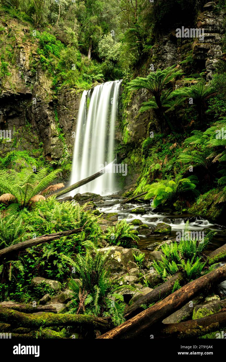 Malerische Hopetoun Falls im Great Otway National Park. Stockfoto