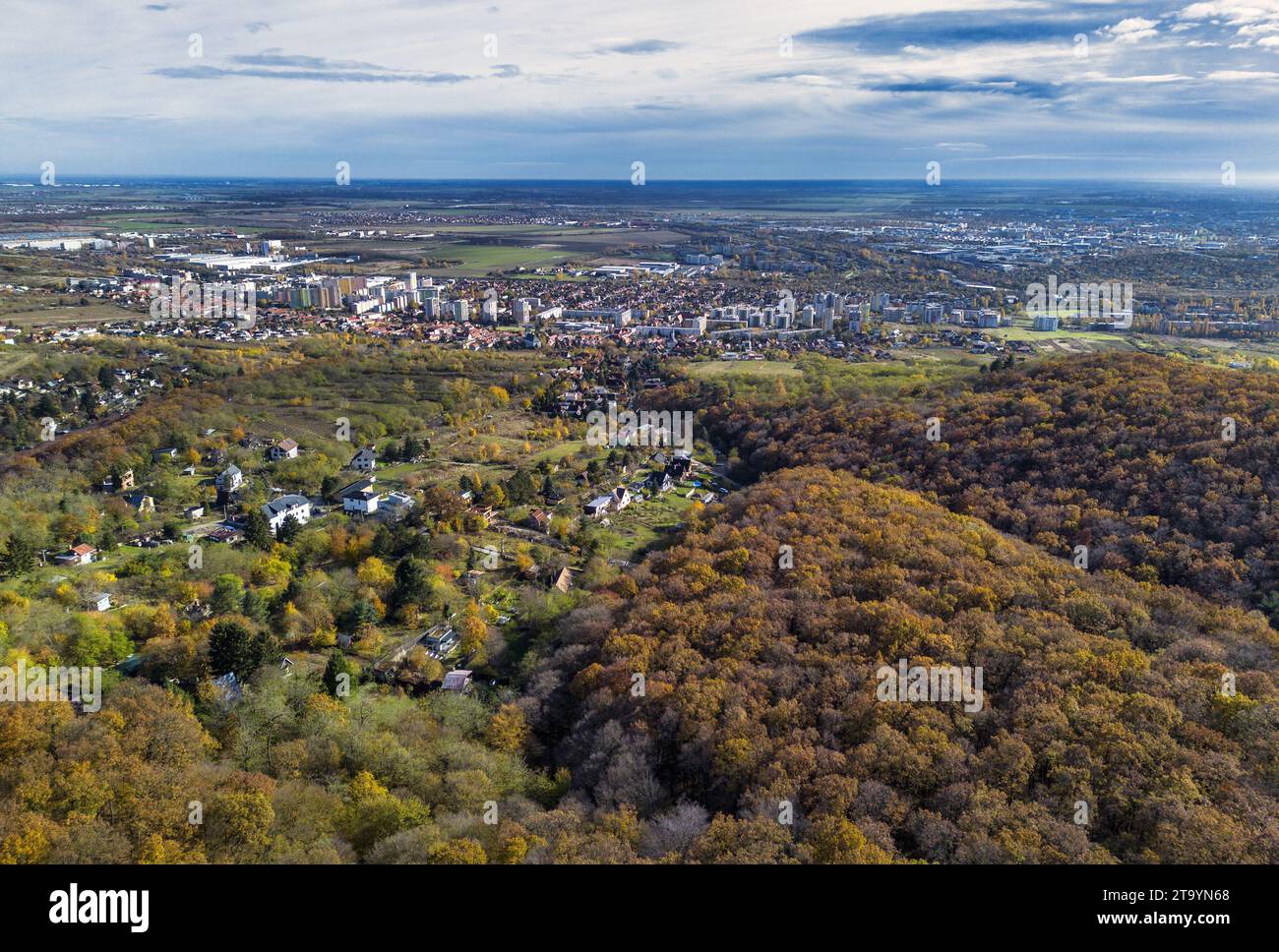 Herbstwald Berg in Bratislava - Raca Stockfoto