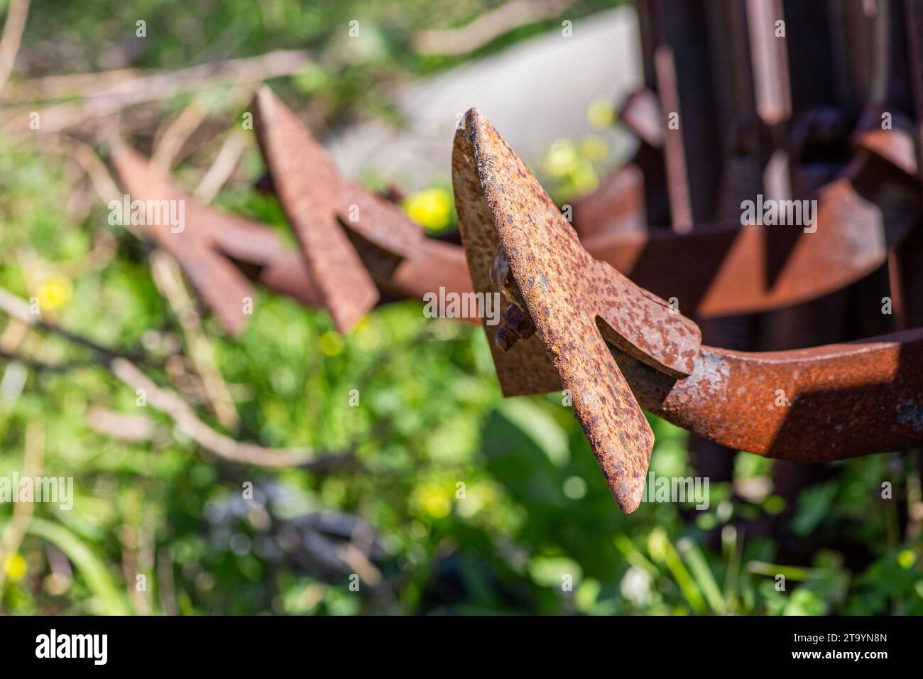 Der alte Grubber mit grünem Hintergrund. Stockfoto