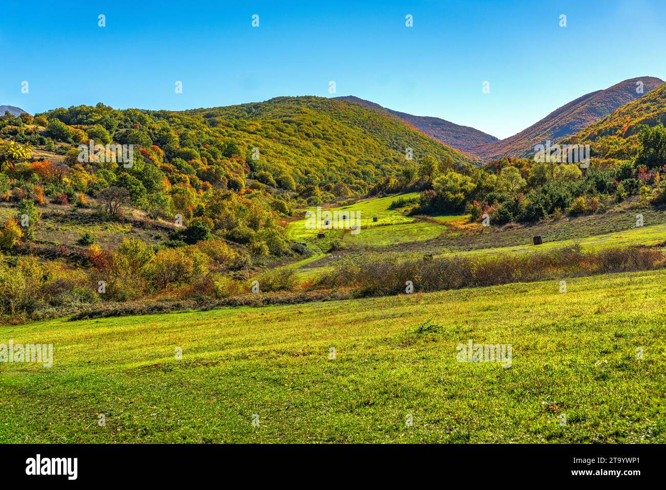 Die Buchen-, Eichen- und Ahornwälder der Berge des Maiella-Nationalparks sind mit Rot- und Gelbtönen des Herbstes gefärbt. Abruzzen, Italien, Europa Stockfoto