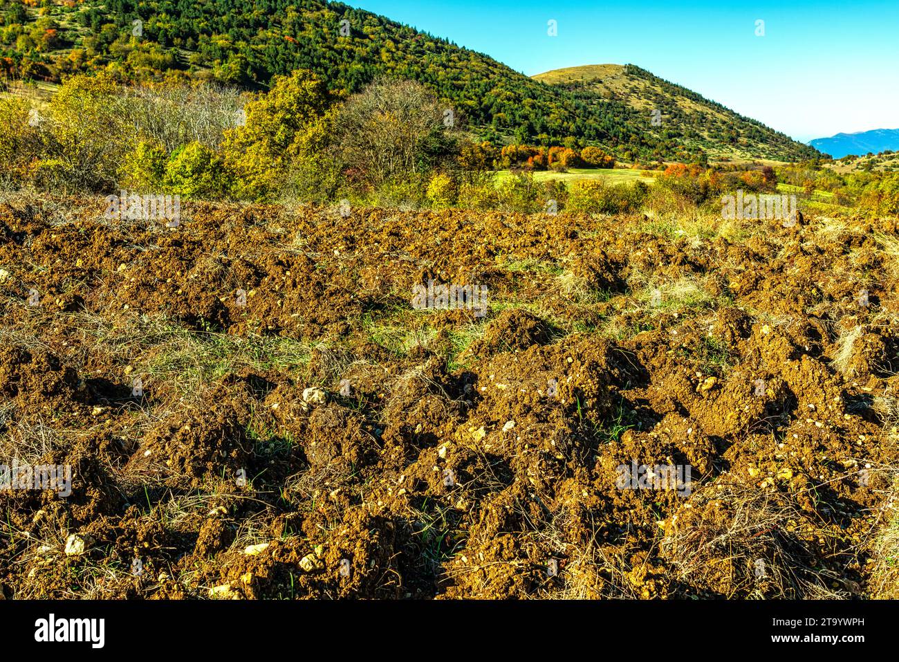 Das Aufbrechen und Pflügen landwirtschaftlicher Flächen in den Bergen zur Vorbereitung auf den Winter. Cansano, Provinz L'Aquila, Abruzzen, Italien Stockfoto