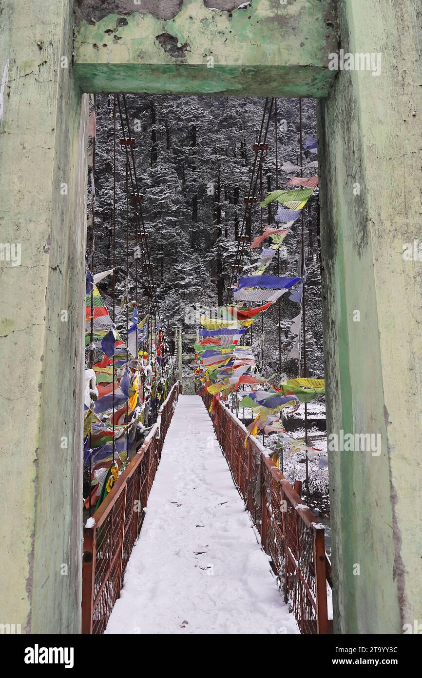 Eine wunderschöne schneebedeckte Hängebrücke über den Fluss Lachung Chu im Yumthang Tal in der Nähe der Bergstation Lachung im Winter, im Norden von sikkim in indien Stockfoto