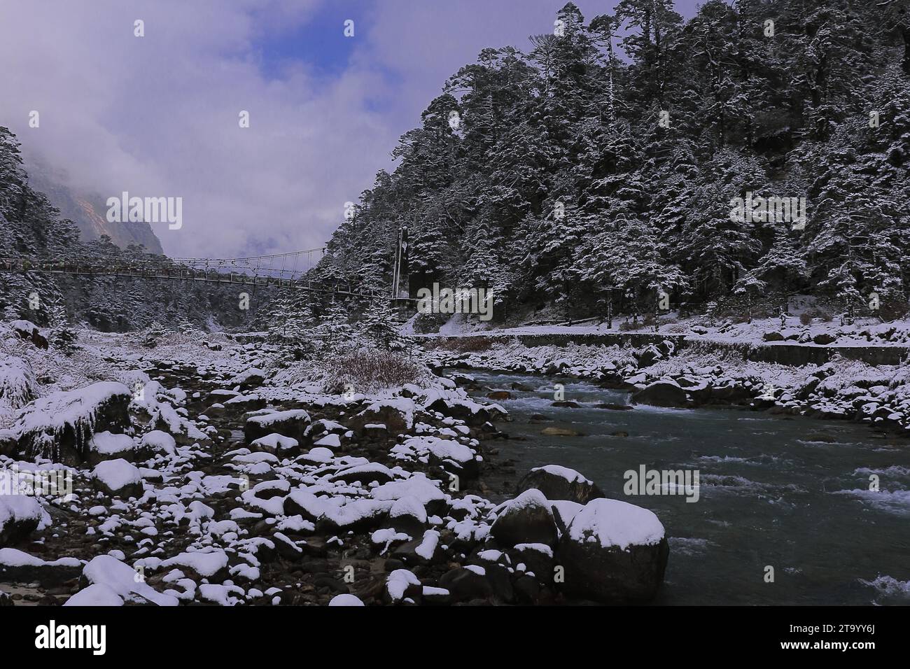 Der Fluss Lachung Chu fließt durch das schneebedeckte Yumthang-Tal, ein wunderschönes Bergtal in der Nähe der Bergstation Lachung im Norden von sikkim, indien Stockfoto