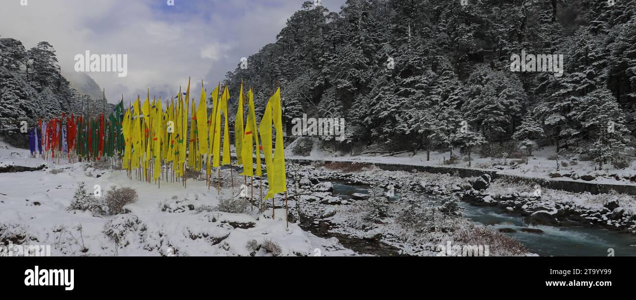 Der Fluss Lachung Chu fließt durch das schneebedeckte Yumthang-Tal, ein wunderschönes Bergtal in der Nähe der Bergstation Lachung im Norden von sikkim, indien Stockfoto