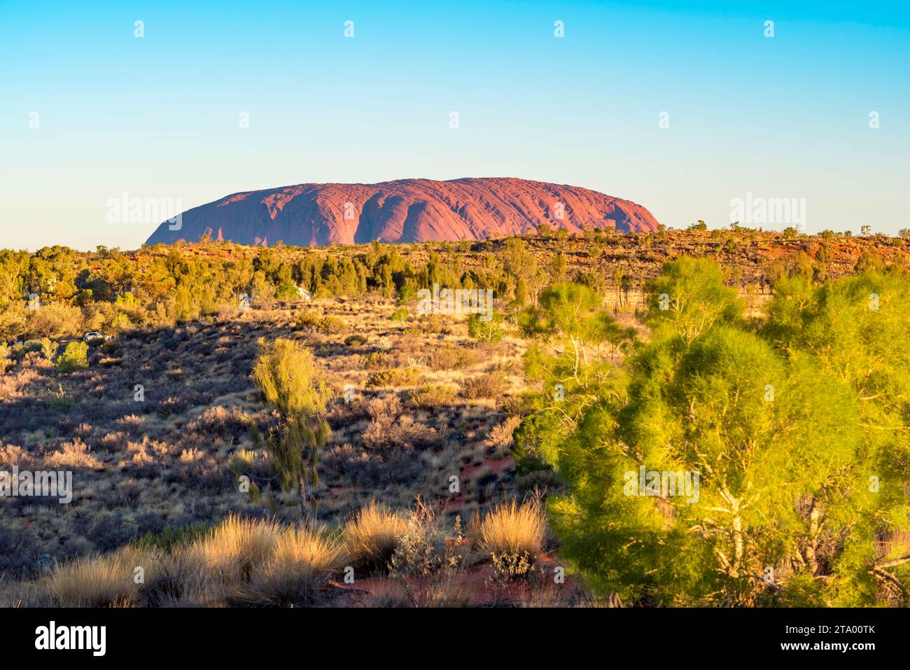 Ein Bild des Uluru am späten Nachmittag vom Ayers Rock Resort im Northern Territory in Zentral-Australien Stockfoto