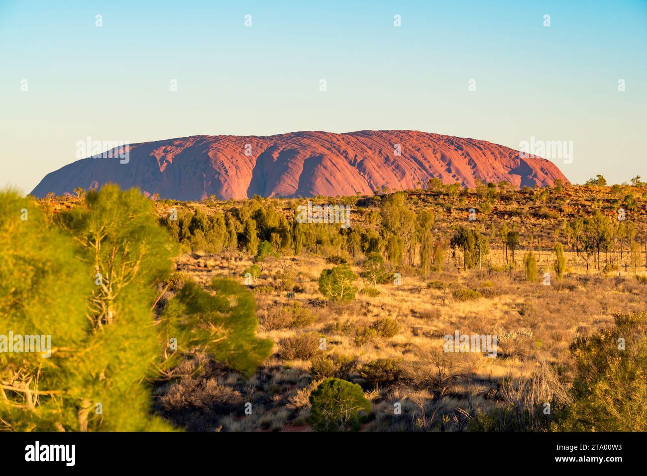 Ein Bild des Uluru am späten Nachmittag vom Ayers Rock Resort im Northern Territory in Zentral-Australien Stockfoto