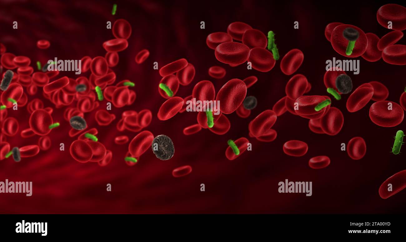 Rote Blutkörperchen in einer Arterie mit erkrankten Zellen in der Nähe von Viren und Bakterien, Fluss im Körper, medizinische menschliche Gesundheit-Versorgung Stockfoto
