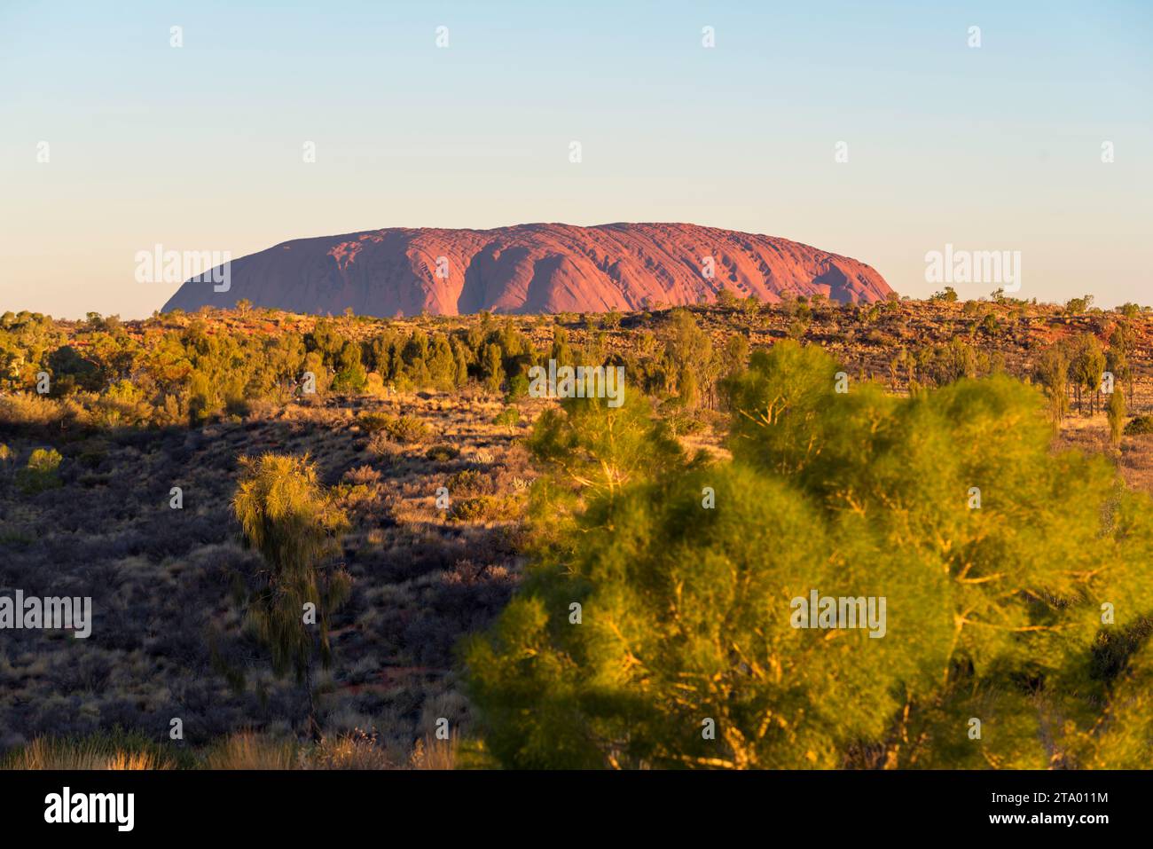 Ein Bild des Uluru am späten Nachmittag vom Ayers Rock Resort im Northern Territory in Zentral-Australien Stockfoto