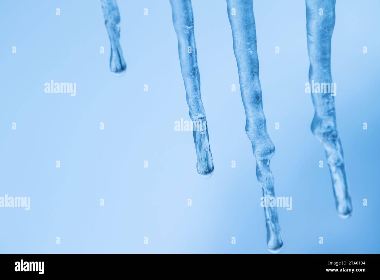 Ein Haufen echter Eiszapfen im Fokus von Eistropfen, Eisstalaktiten, Eisformationen an einem gefrorenen Tag Stockfoto