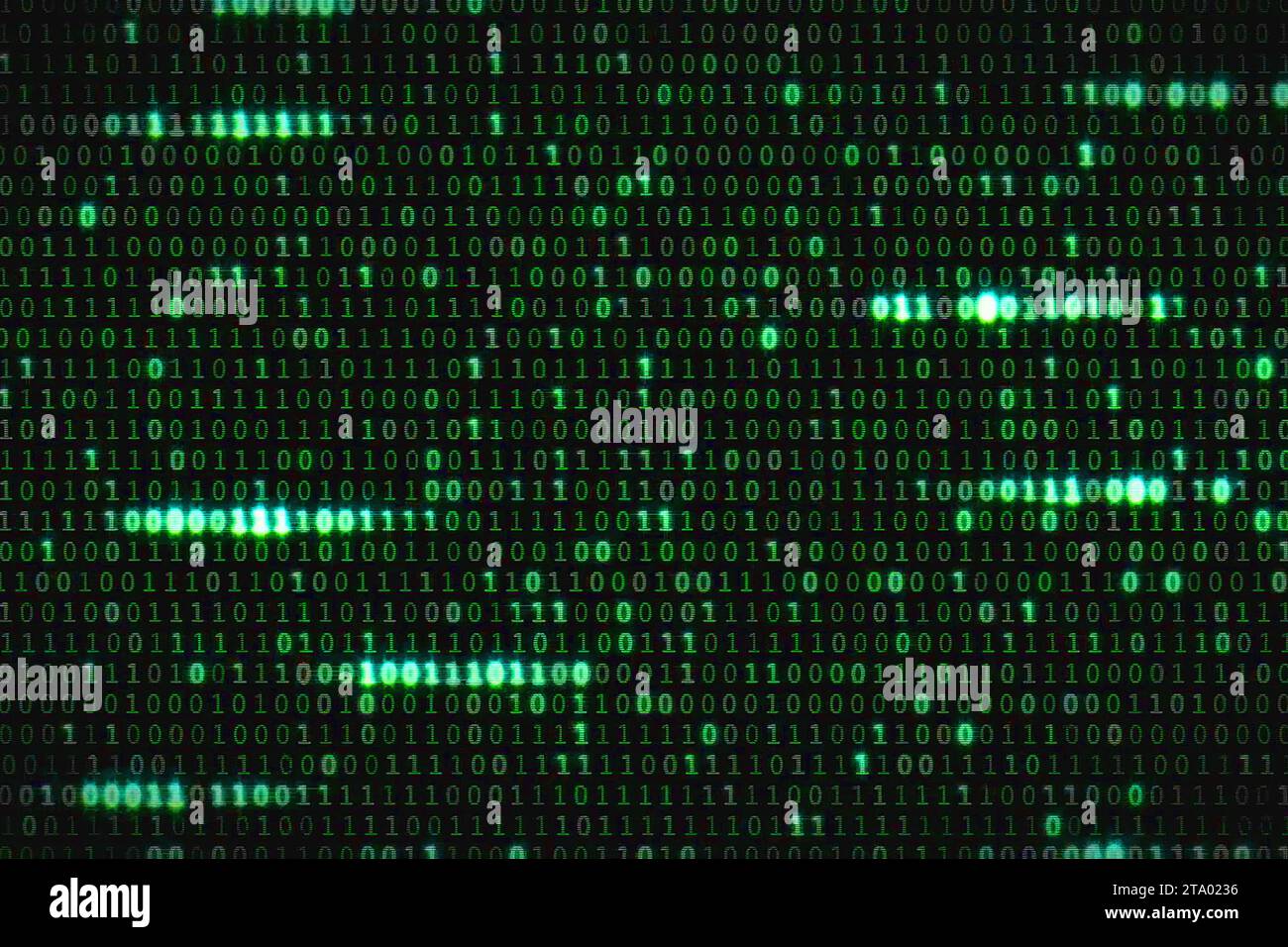Null und ein grüner binärer digitaler Code, computergenerierter nahtloser, abstrakter Bewegungshintergrund, neues Technologiekonzept Stockfoto