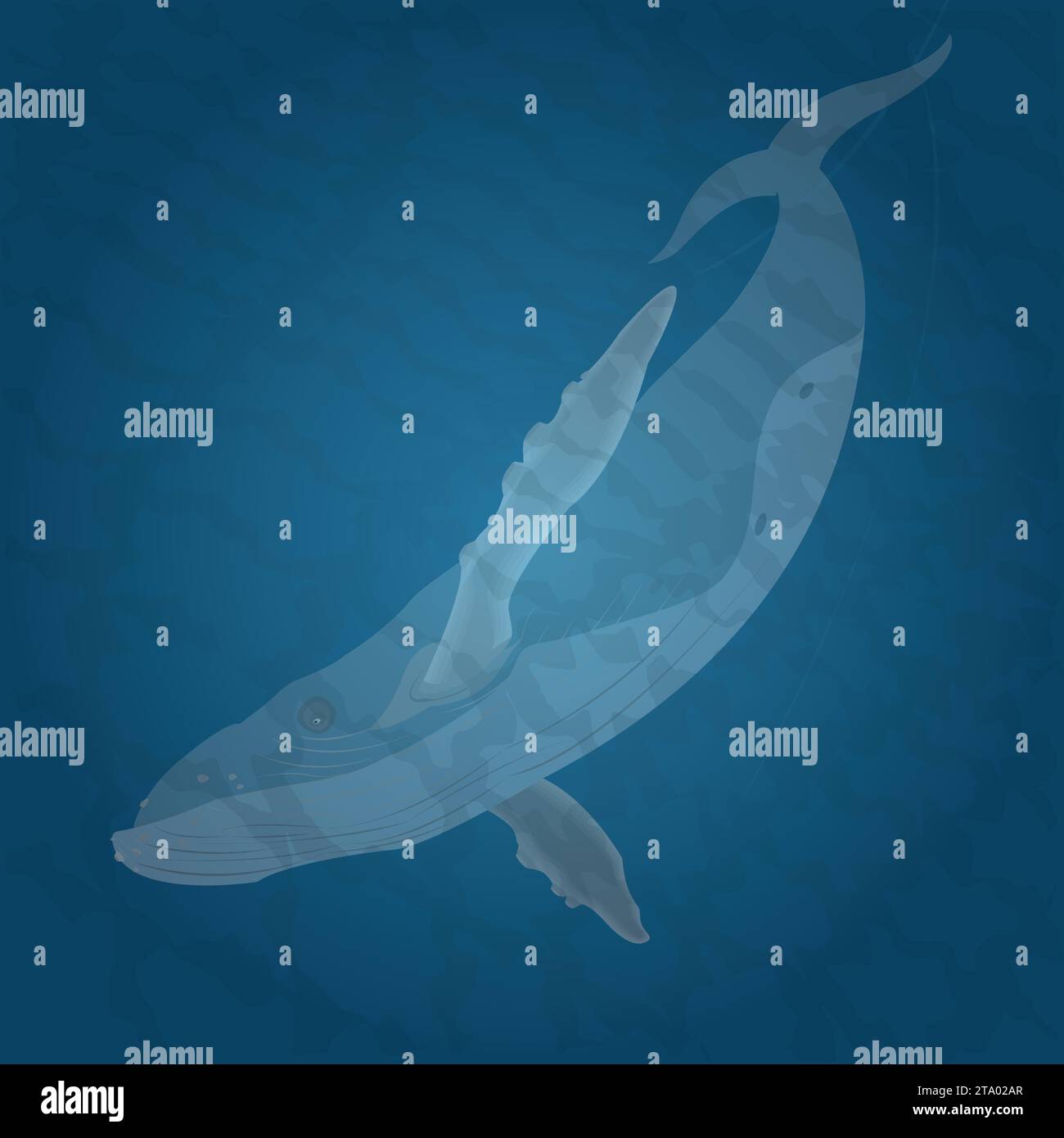 Buckelwal schwimmt in blauem Wasser, Vektorillustration Stock Vektor