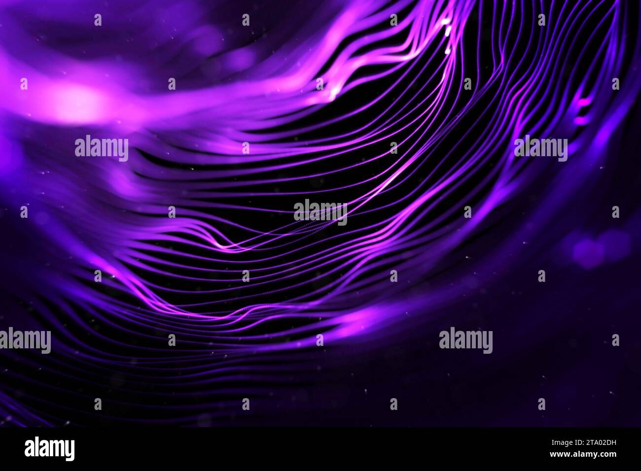 Abstraktes Stream Array farbenfrohe Glitzer glitzernde blaue und lila Linien mit Partikeln auf schwarzem Hintergrund Wissenschaft und Forschungstechnologie Konzept Stockfoto