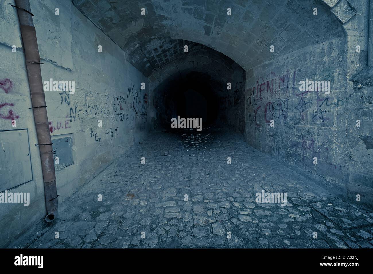 Verlassener dunkler gruseliger und klaustrophobischer Tunnel, mit Schriftzug auf Ziegelmauer, Desolationskonzept Stockfoto