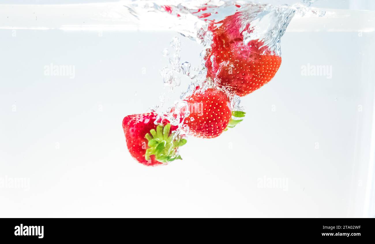 Rote frische Früchte Erdbeeren fallen in Wasser mit Spritzer auf weißem Hintergrund, Erdbeere für Gesundheit und Ernährung, Ernährungskonzept Stockfoto