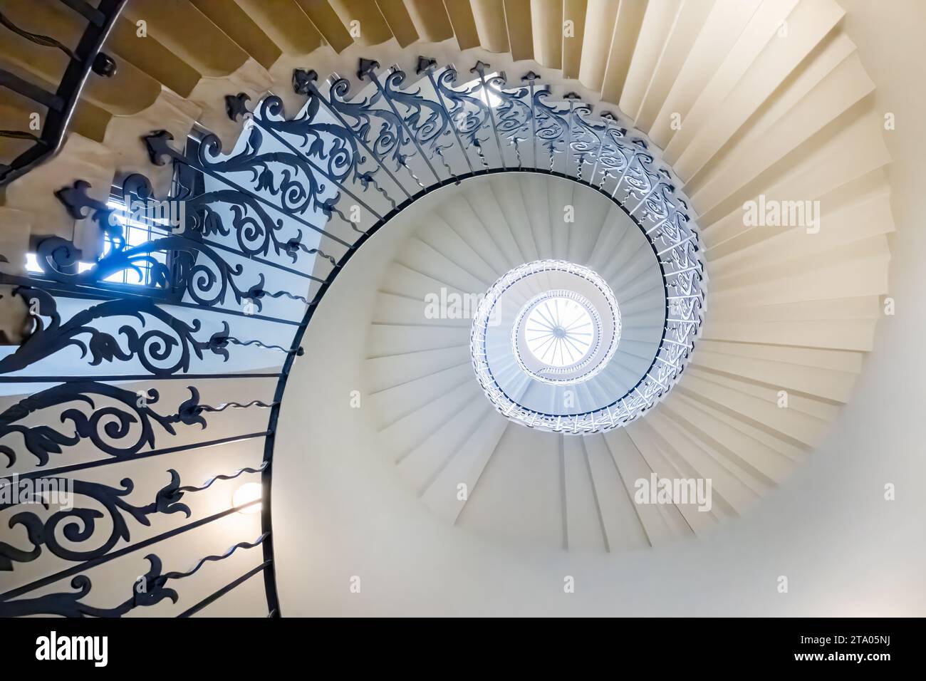 Die Tulip Treppen befinden sich im Queen's House London UK. Das Tulpendesign in den schmiedeeisernen Bannistern gibt der selbsttragenden Treppe ihren Namen Stockfoto