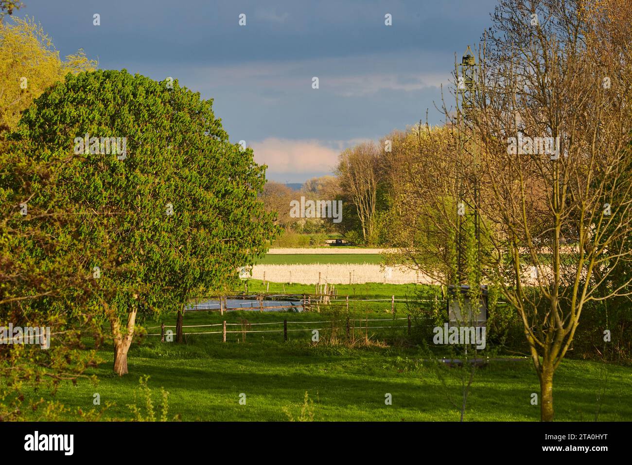 kreis soest, kreis soest in bildern, landkreis soest, nrw, deutschland, Tiere, pflanzen, Architektur, blumen, Lippeauen, Naturfotografie, Landschafts Stockfoto