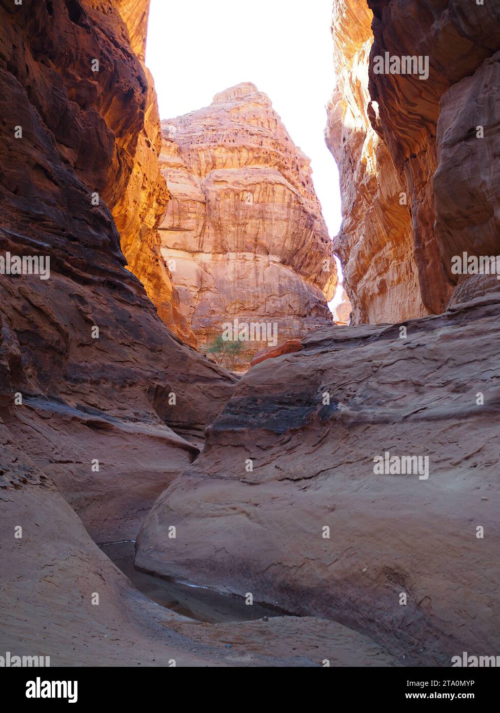 Wadi AlNaam, Alula, Saudi-Arabien Stockfoto