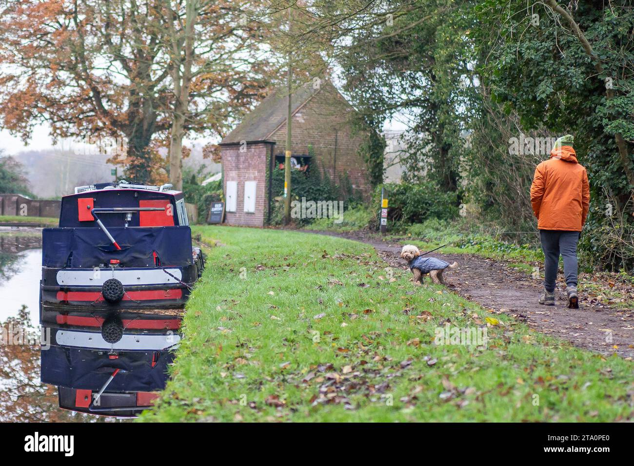 Kidderminster, Großbritannien. November 2023. Wetter in Großbritannien: Es ist ein weiterer kalter Tag in den Midlands mit Temperaturen nur ein paar Grad über dem Gefrierpunkt. Selbst bei Sonneneinbruch bleibt die Temperatur heute sehr niedrig. Große Mäntel für Wärme stehen heute an erster Stelle, selbst für unsere kleine Vierbeiner. Quelle: Lee Hudson/Alamy Live News Stockfoto
