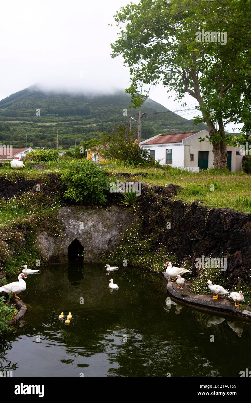Die atemberaubende Schönheit der Azoren, Portugal: Eine unvergessliche Reise durch die atemberaubenden Landschaften dieses Atlantikparadieses Stockfoto
