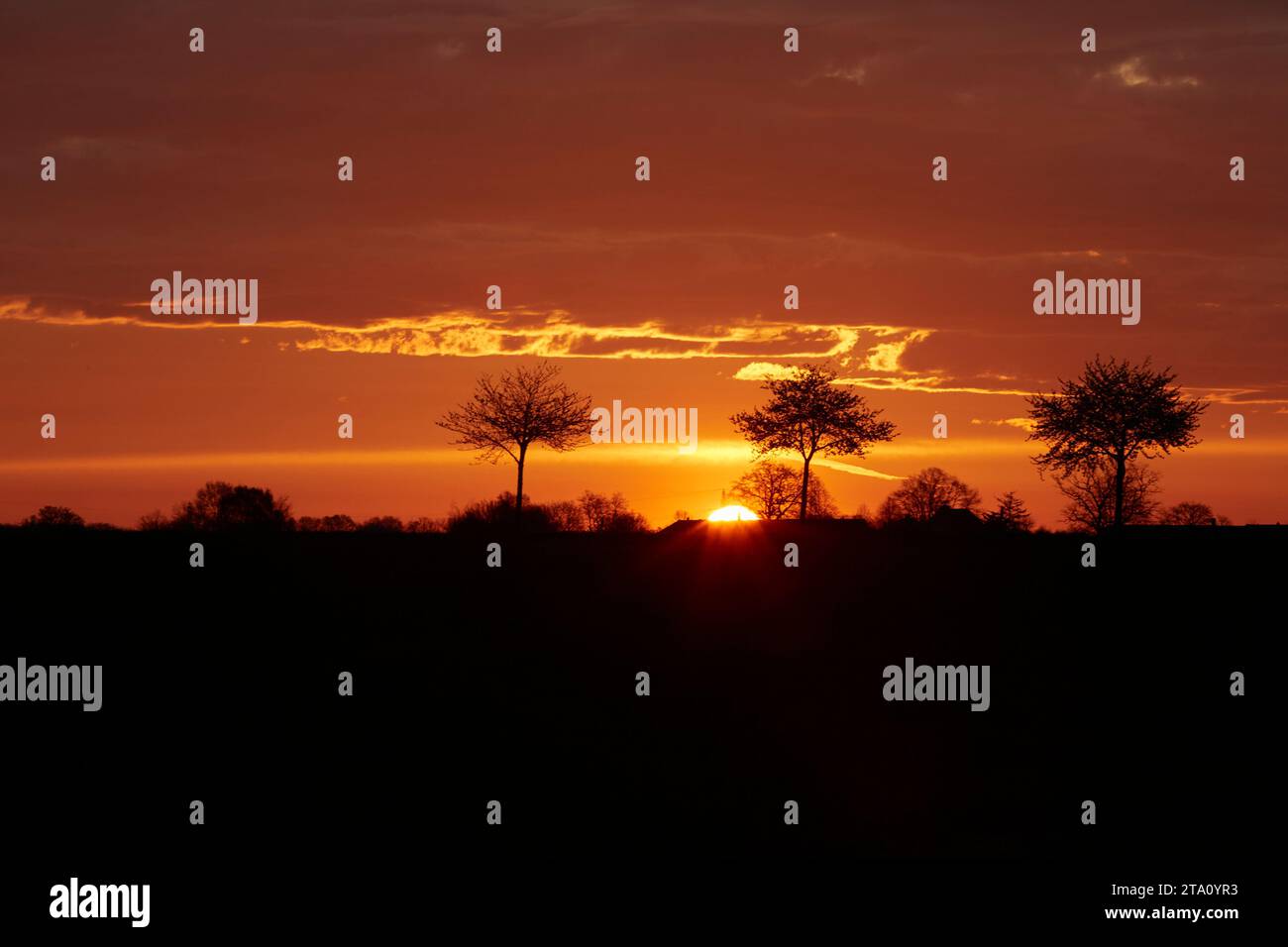 Sonnenaufgang zwischen den Feldern bei Erwitte Horn, Kreis Soest, NRW, Deutschland, Europa - Sonnenaufgang zwischen den Flügeln, nordrhein-westfalen, Stockfoto
