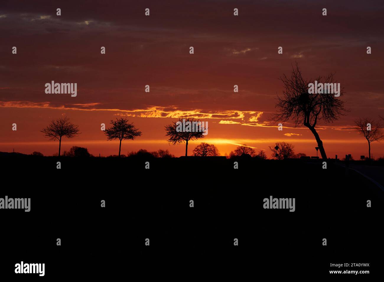 Sonnenaufgang zwischen den Feldern bei Erwitte Horn, Kreis Soest, NRW, Deutschland, Europa - Sonnenaufgang zwischen den Flügeln, nordrhein-westfalen, Stockfoto