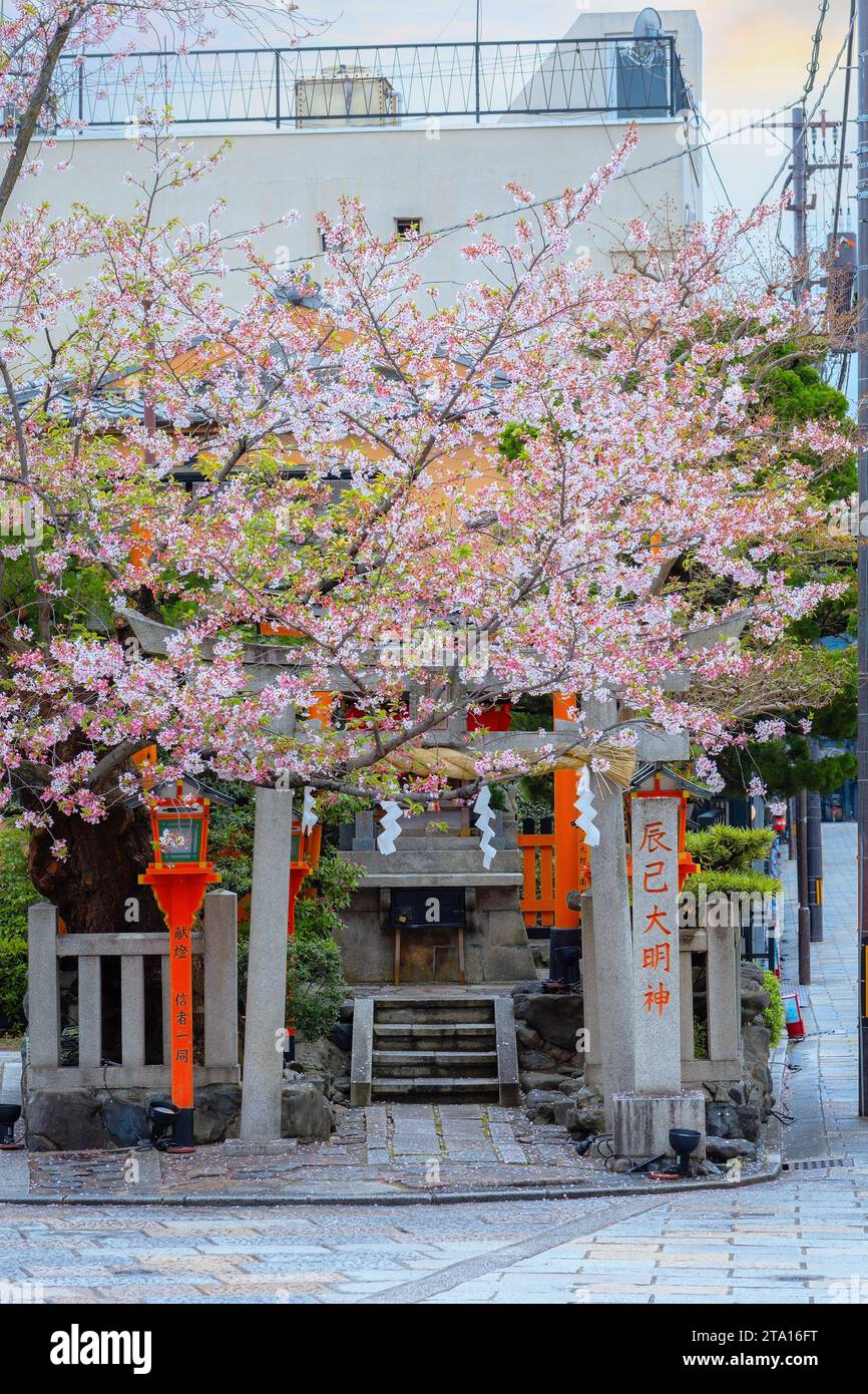 Kyoto, Japan - 6. April 2023: Tatsumi Daimyojin-Schrein in der Nähe der Tatsumu-Bashi-Brücke im Stadtteil Gion Stockfoto