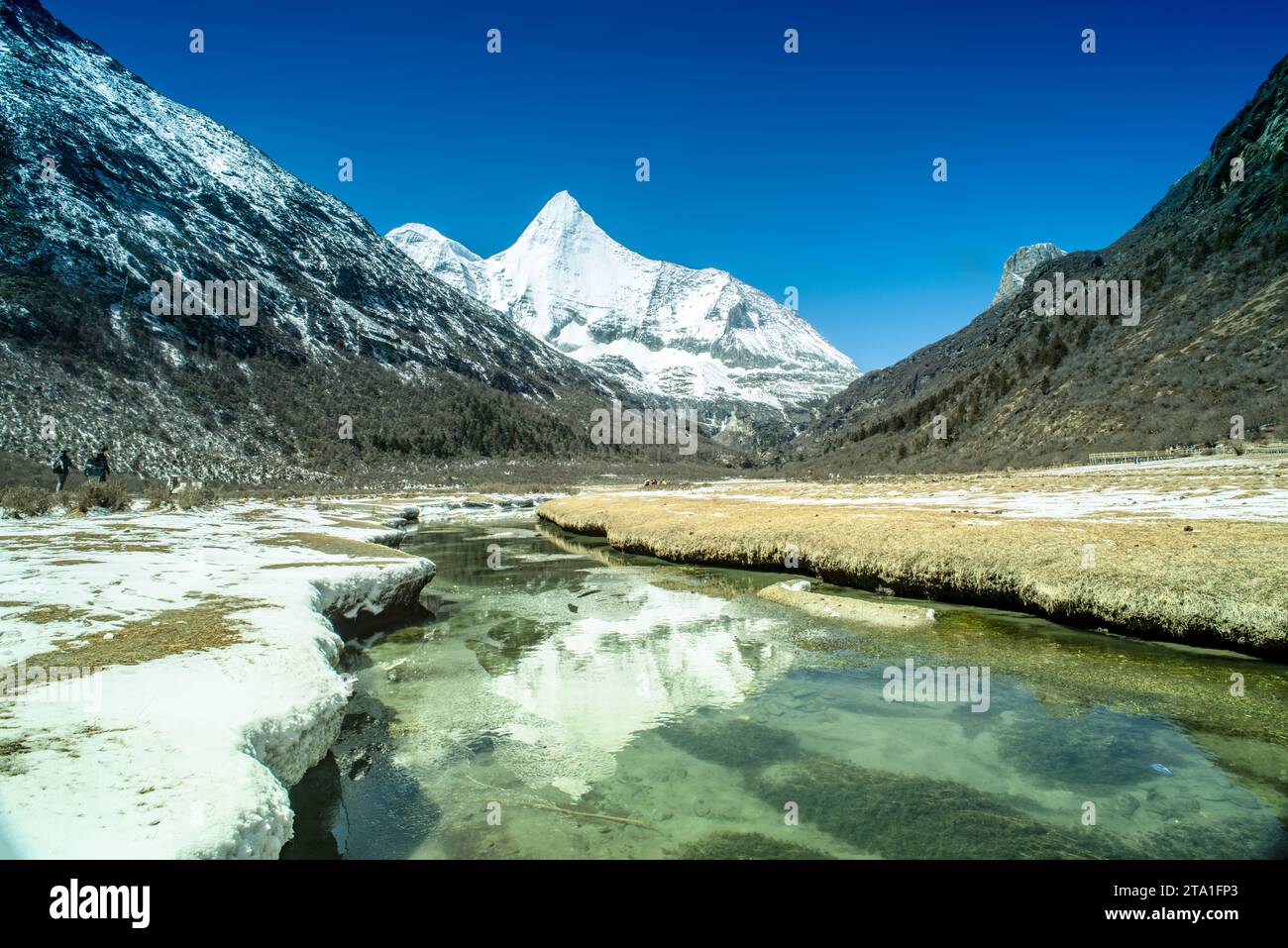 Chonggu Wiese, Wasserspiegelung im Hintergrund mit schneebedeckten Bergen im Yading Nature Reserve, Sichuan, China. Letzte Shangri-la Höhe 4.600 m. Stockfoto Chonggu Wiese, Wasserspiegelung im Hintergrund mit schneebedeckten Bergen im Yading Nature Reserve, Sichuan, China. Letzte Shangri-la Höhe 4.600 m. Stockfoto