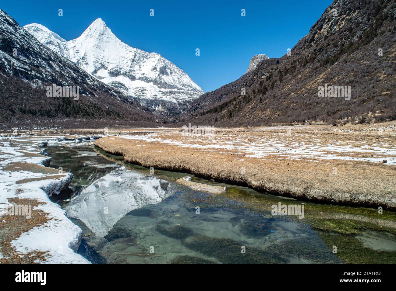 Chonggu Wiese, Wasserspiegelung im Hintergrund mit schneebedeckten Bergen im Yading Nature Reserve, Sichuan, China. Letzte Shangri-la Höhe 4.600 m. Stockfoto Chonggu Wiese, Wasserspiegelung im Hintergrund mit schneebedeckten Bergen im Yading Nature Reserve, Sichuan, China. Letzte Shangri-la Höhe 4.600 m. Stockfoto