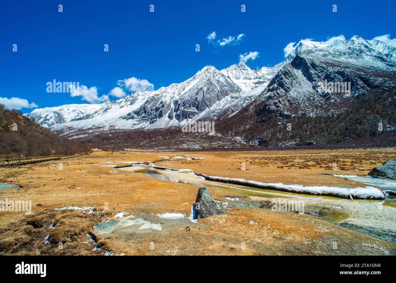 Chonggu Wiese, Wasserspiegelung im Hintergrund mit schneebedeckten Bergen im Yading Nature Reserve, Sichuan, China. Letzte Shangri-la Höhe 4.600 m. Stockfoto Chonggu Wiese, Wasserspiegelung im Hintergrund mit schneebedeckten Bergen im Yading Nature Reserve, Sichuan, China. Letzte Shangri-la Höhe 4.600 m. Stockfoto