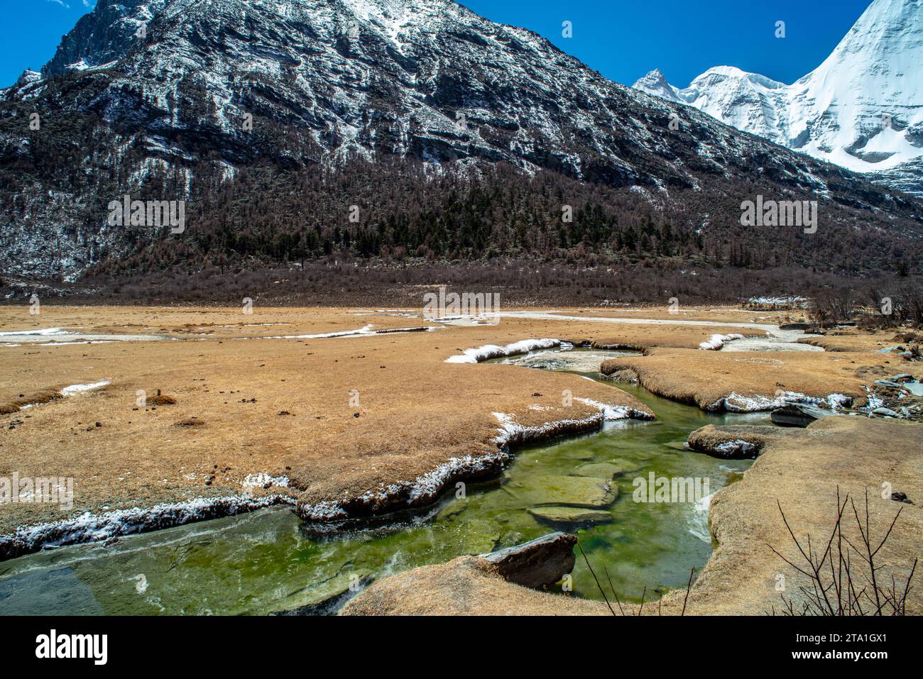 Chonggu Wiese, Wasserspiegelung im Hintergrund mit schneebedeckten Bergen im Yading Nature Reserve, Sichuan, China. Letzte Shangri-la Höhe 4.600 m. Stockfoto Chonggu Wiese, Wasserspiegelung im Hintergrund mit schneebedeckten Bergen im Yading Nature Reserve, Sichuan, China. Letzte Shangri-la Höhe 4.600 m. Stockfoto