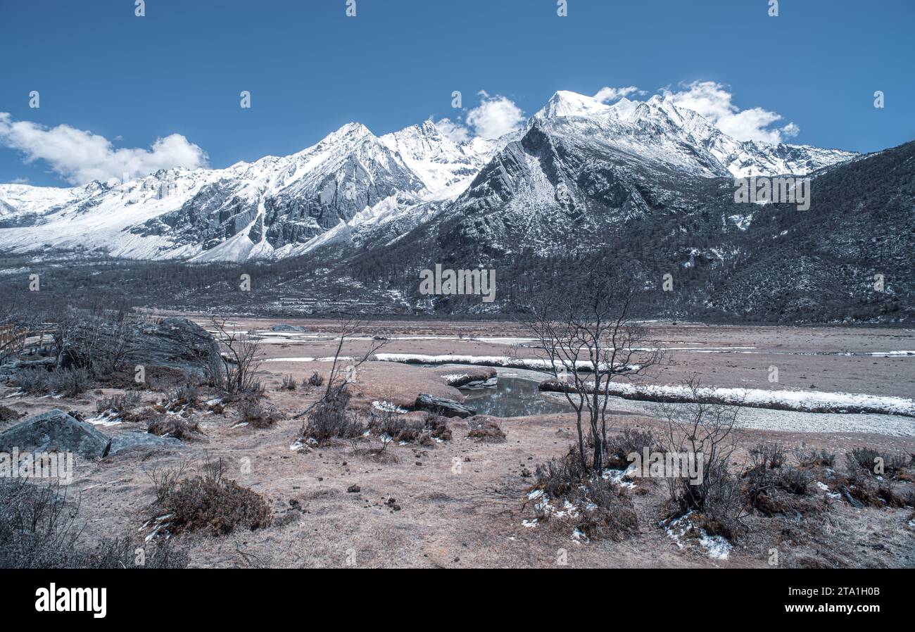 Chonggu Wiese, Wasserspiegelung im Hintergrund mit schneebedeckten Bergen im Yading Nature Reserve, Sichuan, China. Letzte Shangri-la Höhe 4.600 m. Stockfoto Chonggu Wiese, Wasserspiegelung im Hintergrund mit schneebedeckten Bergen im Yading Nature Reserve, Sichuan, China. Letzte Shangri-la Höhe 4.600 m. Stockfoto