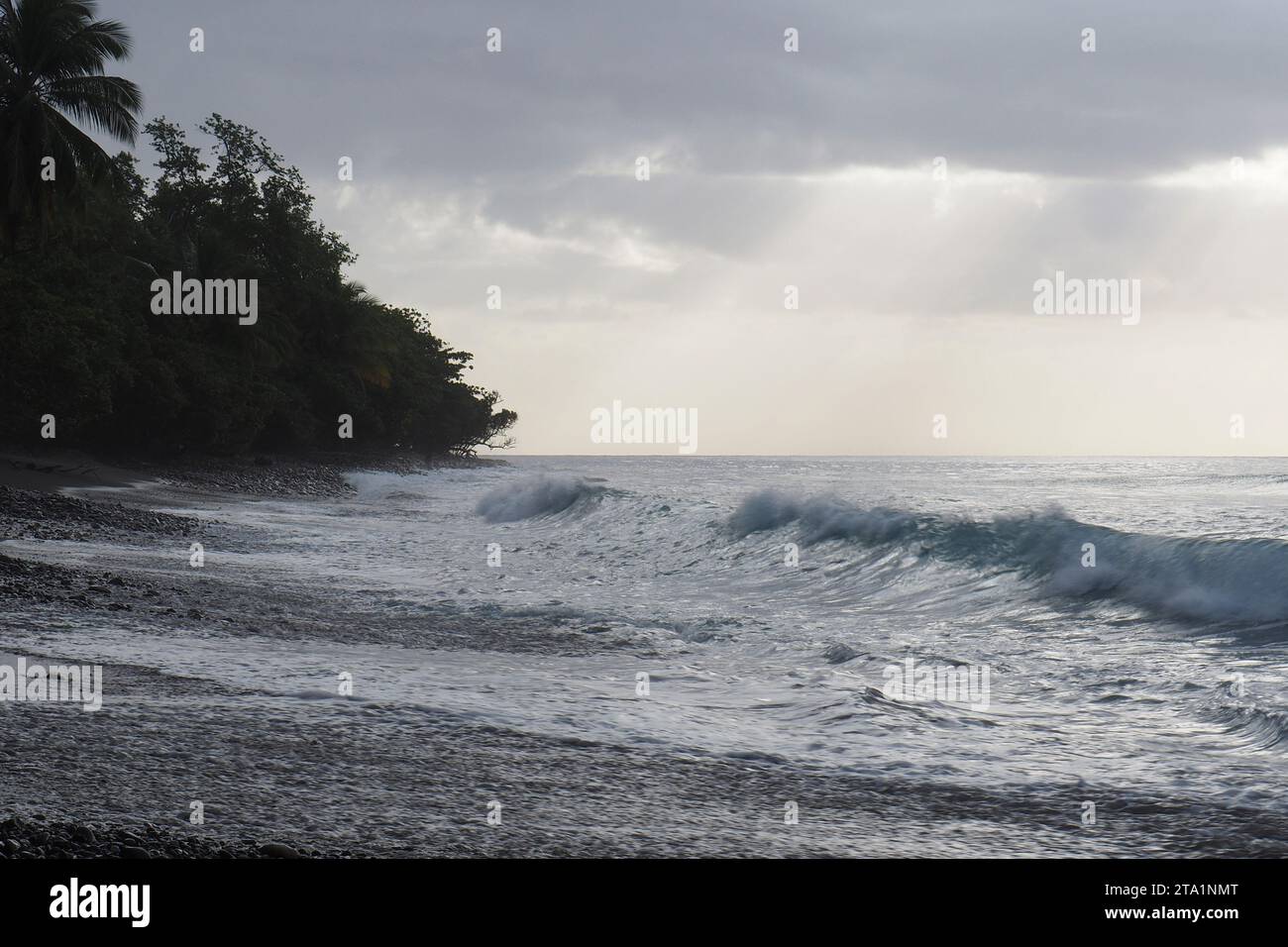 Anse couleuvre, Nord de la Martinique, plages les plus Sauvages de l'île. Sable noir volcanique et Nature exubérante Martinique, Antillen Stockfoto