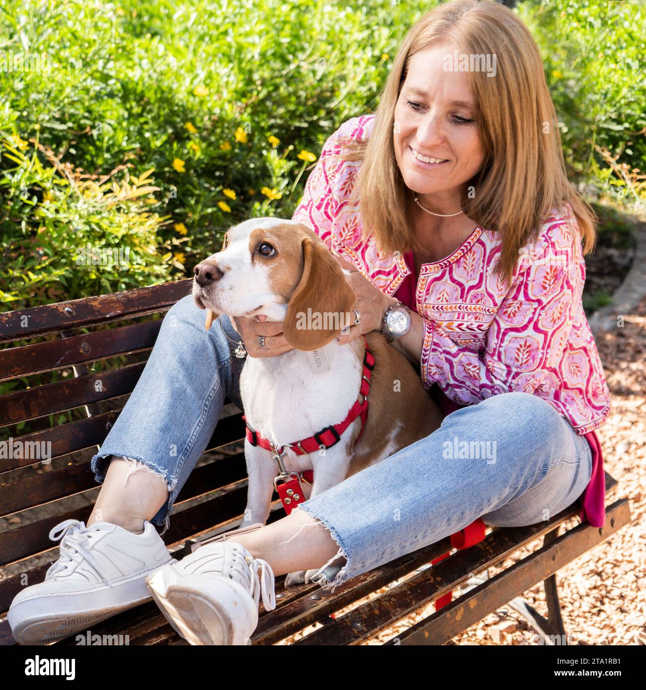 Porträt einer schönen Frau, die mit ihrem Beagle-Hund auf einer Holzbank sitzt. Stockfoto