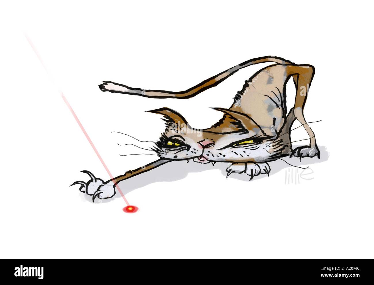 Kunstillustration, Katze, die sich darauf vorbereitet, auf ein Laserlicht zu stürzen, Katzenspiel, Karikaturtier, süße Katze, Tierpflege, Zeitschriftenkunst, Buchkunst, Newsletter-Kunst Stockfoto