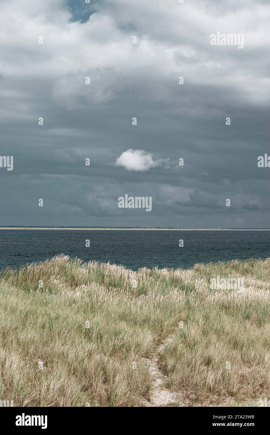 Karge Dünenlandschaft, Wetter, Wolken, düster, Stimmung am Ellbogen, Nordsee, Nordseeinsel Sylt, Ostfriesland, Deutschland Stockfoto