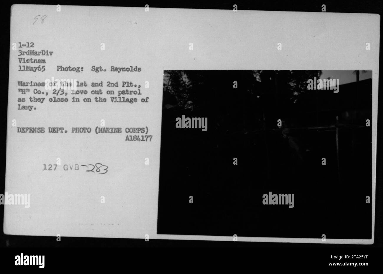 Marines des 1. Und 2. Platoon, 2/3 Kompanie, 3. Marine Division, führen am 11. Mai 1965 eine Patrouille durch. Sie nähern sich dem Dorf Lenty während des Vietnamkriegs. Dieses Foto wurde von Sgt. Reynolds aufgenommen und stammt aus der Sammlung des Verteidigungsministeriums, A184177, 127. GVB-283. Stockfoto