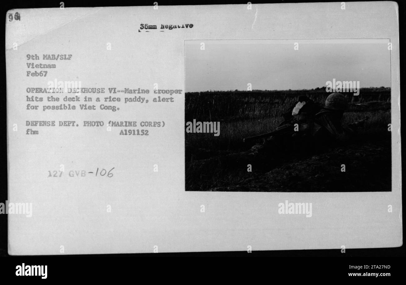 Während der Operation Deckhouse im Februar 1967 fällt ein Marinetruppen auf einem Reisfeld zu Boden. Er bleibt wachsam für jede mögliche Aktivität des Viet Cong. Foto vom Verteidigungsministerium. Stockfoto