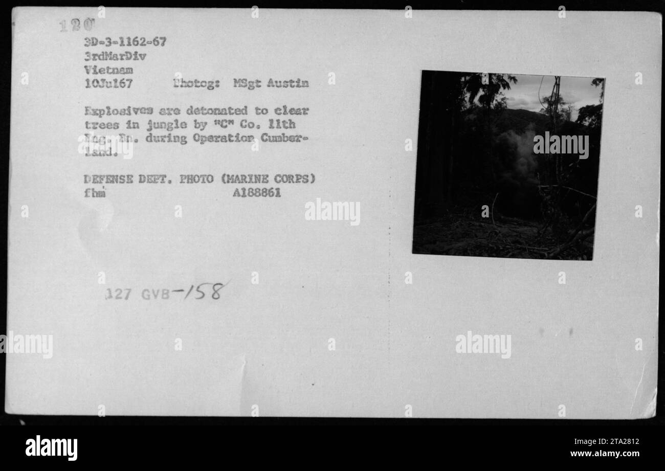 Soldaten der C-Kompanie, 11. Ingenieur-Bataillon der 3. Marine-Division, Vietnam, zünden Sprengstoff, um Bäume im Dschungel während der Operation Cumberland am 10. Juli 1967 zu räumen. Das Foto, aufgenommen von MSgt Austin, zeigt eine kontrollierte Explosion, die im Rahmen militärischer Operationen durchgeführt wurde. Stockfoto