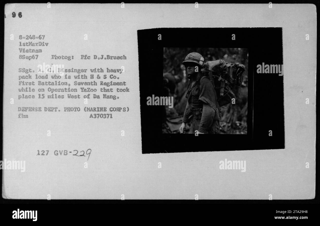 Am 8. September 1967 wurde die Marine SSgt. A.C. Bissinger trägt ein schweres Paket während der Operation Yazoo, 24 Meilen westlich von da Nang, Vietnam, das die Truppenaktivität und das Lastmanagement im Feld veranschaulicht. Stockfoto