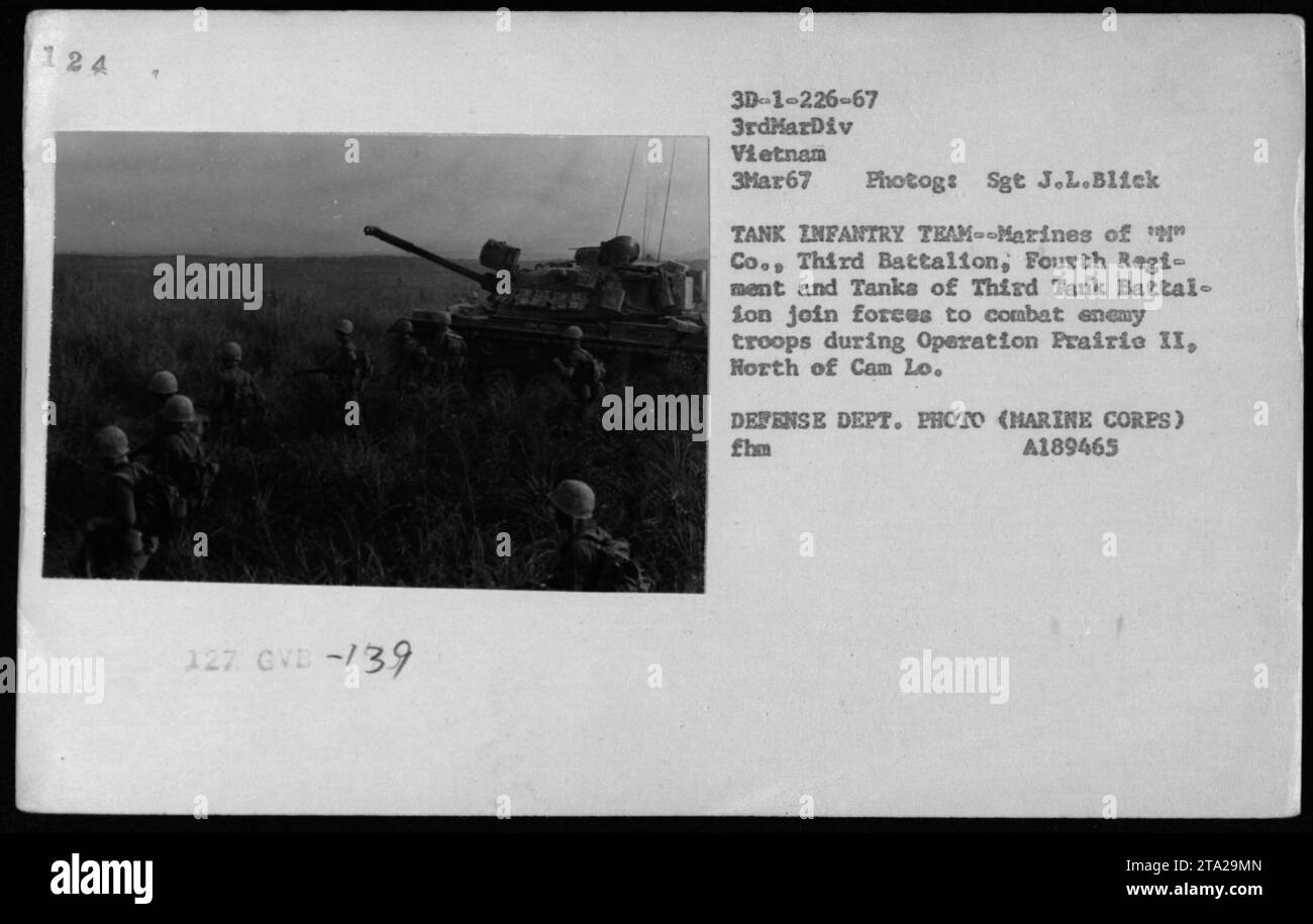 3 bataillon 1 marine regiment 1 marine division SchwarzweißStockfotos