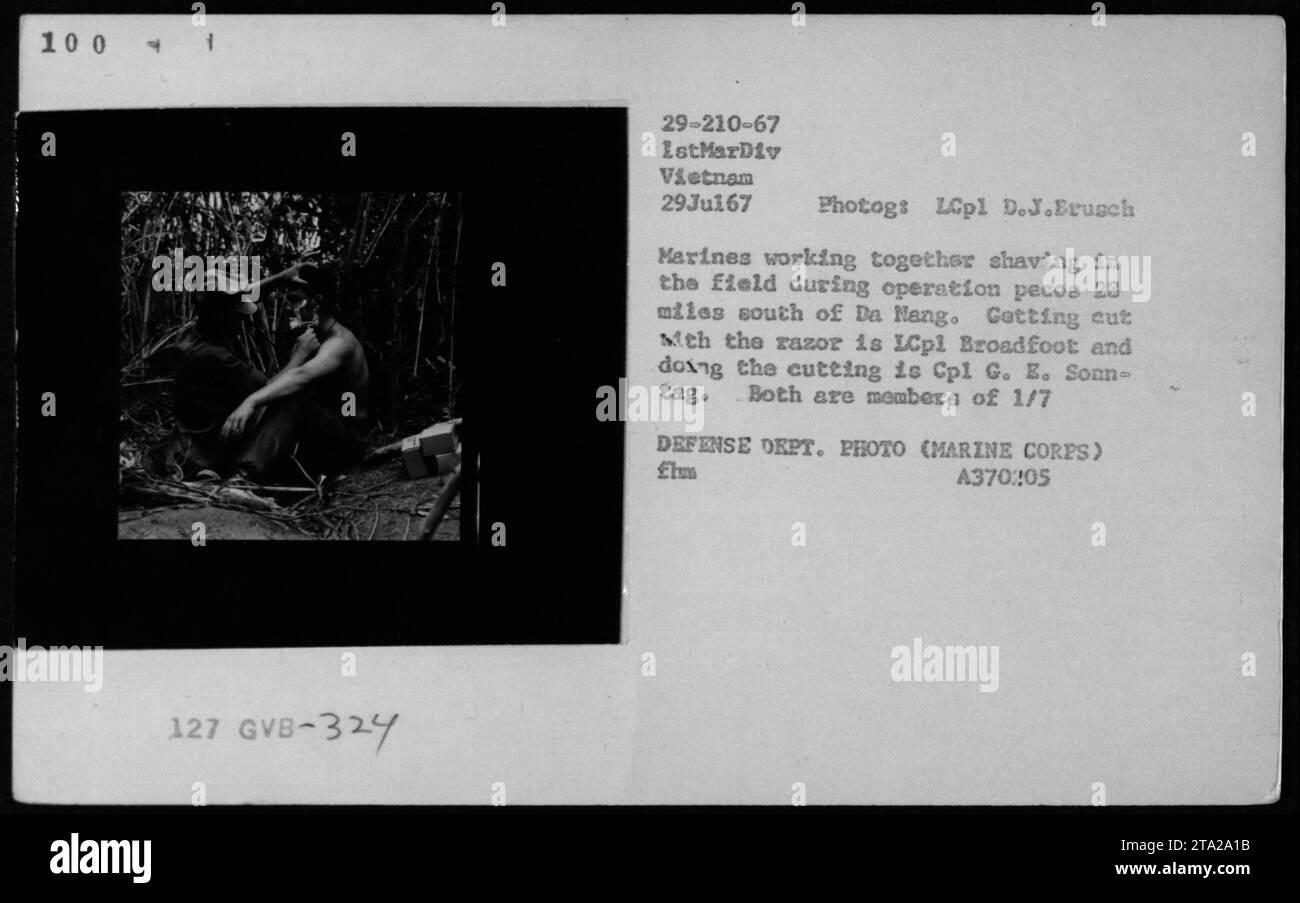 Marines der 1st Marine Division in Vietnam werden während der Operation Pecos, 28 Meilen südlich von da Nang, am 29. Juli 1967, im Feld rasiert. LCpl Broadfoot wird mit einem Rasierer geschnitten von CPL G. E. Sonn-Tag. Dieses Bild wurde von LCpl D.J. Erusch aufgenommen. Stockfoto