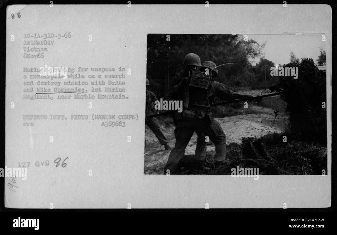 Marines von Delta und Nike Companies, 1st Marine Regiment, suchen am 8. November 1966 während einer Such- und Zerstörungsmission einen Dunghaufen nach Waffen in der Nähe von Marble Mountain, Vietnam. Stockfoto
